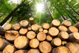 Lacera To Consider Making Ag And Timber Investments Agri