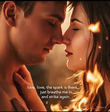 Volunteer for camp and art builds at Burning Man