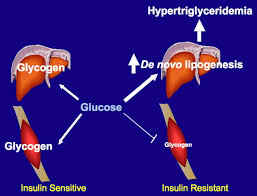 Check spelling or type a new query. The Role Of Skeletal Muscle Insulin Resistance In The Pathogenesis Of The Metabolic Syndrome Pnas