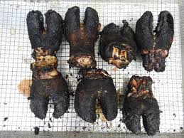Mykif cara untuk memasak sup kaki lembu. Cara Paling Mudah Bersihkan Proses Kaki Lembu Untuk Buat Sup Yang Paling Sedap