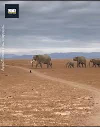 Rishit Sheth I Wildlife Photographer