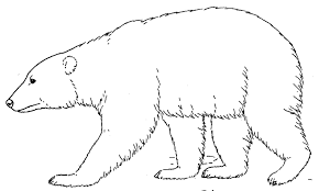 Black bear coloring pages : Polar Bear Coloring Pages Polar Bear 3 Gif Printable Coloring4free Coloring4free Com