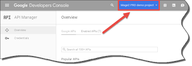 The api can only be managed by the owner of your google play developer account. How To Open The Api Manager In The Google Developers Console Magento 2