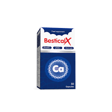 Bestical X | Bestical - Canxi sin