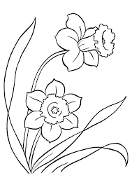 The original format for whitepages was a p. Parentune Free Printable Lily Coloring Pages Lily Coloring Pictures For Preschoolers Kids