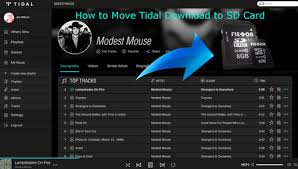 Download tidal playlist import supported devices get help log in manage account. Save Tidal Download To Sd Card Fixed