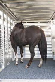 Check spelling or type a new query. Horse Trailer Review