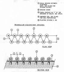 how to planting plan tricks land8