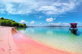 Flores holiday rentals flores holiday packages flights to flores flores restaurants flores provides an opportunity to put into some context the myriad of islands that comprise indonesia. Diving In Flores Flores Authentic Indonesia