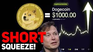 How much will dogecoin be worth in december 2021?: Dogecoin Short Squeeze Incoming 1000 Per Dogecoin Possible Huge Dogecoin Price Update Coinmarketbag