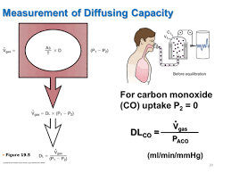 Image result for Diffusing Capacity