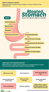 Bloated Stomach Care In 2020 Stomach Remedies Bloated Stomach Stomach Gas Causes