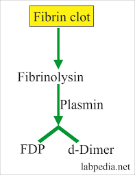 Fibrinogen activity test is used as part of an investigation of a possible bleeding disorder or inappropriate blood clot formation. Fibrinogen Degradation Products Fdp Or Fibrin Split Products Fsp And D Dimer Labpedia Net