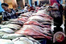 Bil perkara harga ada tiada catatan 1 kertas objektif dan test pad* rm7.00 2 kertas lukisan* rm8.50 3 kad pajsk* rm3.80 4 buku log kokurikulum* rm4.00 5 buku tulis (30 x rm0.90) rm27.00 6 buku nota sains (2x rm1.40). Harga Ikan Di Bandarlampung Naik Antara News Lampung