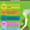 Pcos is a complex interplay of many factors, including hormonal imbalance. Https Encrypted Tbn0 Gstatic Com Images Q Tbn And9gcqz4vldzbnc403k3kyy0if2jkzswe4mayeqdyawheeprgxflnw Usqp Cau