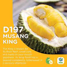 Pastu, ada durian jenis ho lor, cheh phoay kia, ganja, durian 11, kapili, merah kecik, d2, d24, ang bak kia, kun bao hong dan juga cheh phoay yang jenis durian kulit hijau. 24 Jenis Jenis Durian Beserta Nombor Code Yang Rare Jarang Kita Dengar