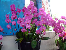 Guangdong, sheng (province) of south china. Fang Ying Lu Fangcun Liwan Qu Guangzhou Shi Guangdong Sheng China 510360 Mapio Net