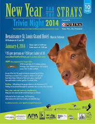 Help Raise For 11 St Louis Area Animal Rescues And Have Tons Of Fun While Doing It Get Your Tickets For The New Year For The St Trivia Night Trivia Stray