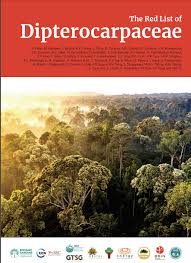 Image result for Dipterocarpaceae