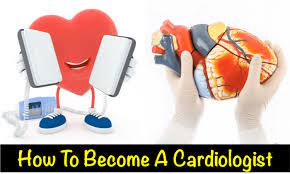 The educational process to become a cardiac surgeon is one of the longest in the medical field. How To Become A Cardiologist Written By Cardiologists