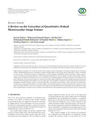 Pdf A Review On The Extraction Of Quantitative Retinal Microvascular Image Feature
