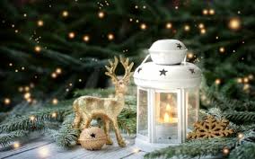 We did not find results for: Christmas Holiday Photography Abstract Background Wallpapers On Desktop Nexus Image 2515905