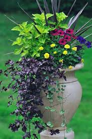For this demonstration, i will be using all four designs on one planter. 6 Simple Tricks For Beautiful Garden Containers Gardener S Path