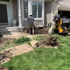 Hiring a lawn care professional can save you time and money on your lawn. Lawn And Landscaping Jobs Landscaping Jobs Lawn Lawn Service