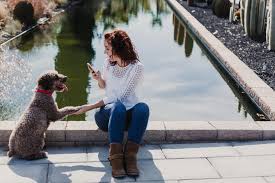 The pet resort is available to guests of both the rv park and grand canyon railway hotel, as well as grand canyon railway passengers and the general public. How To Start And Maintain An Instagram Account For Your Pet Animal Wellness Magazine