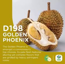 Untuk menikmati segelas es durian di tempat wisata kuliner di bandung ini, kamu tidak perlu membayar mahal. Ada 200 Jenis Durian Di Malaysia Durian Mana Yang Dah Pernah Rasa Libur