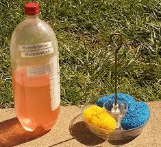 The area i live in has such low standards for the restaurants so it's hard to weed. Butterfly Feeder Butterfly Gardening