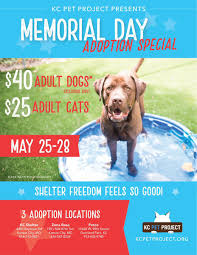 Hundreds of amazing dogs and cats qualify for the next 10 days during the special with more available for adoption every day. Teresa Johnson Inkyspot58 Twitter