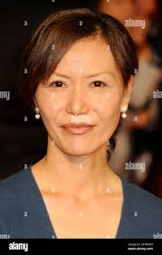 Susan lu hi-res stock photography and images