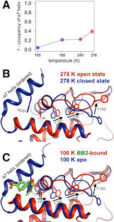 an expanded allosteric network in ptp1b by multitemperature