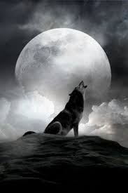 What If The Wolf Is In Love With The Moon And Each Night It Crys Out For A Love That It Can Never Touch Wolf Moon Lone Wolf Wolf