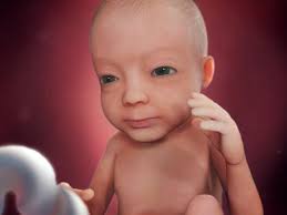 Fetal Development Week By Week Babycenter 27 Weeks Pregnant Baby Development In Womb Baby Center