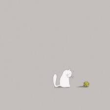 We have 64+ background pictures for you! Cartoon Cat Wallpapers Top Free Cartoon Cat Backgrounds Wallpaperaccess Ipad Mini Wallpaper Ipad Wallpaper Kitty Wallpaper