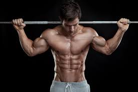 Bodybuilding Cool Pictures Good Pre Workout Fast Abs Build Muscle Fast