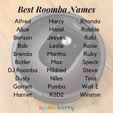 The Best Roomba Names Are Playful And Funny We Like Names In Style Limbo Those That Remind Us Of Its Function Hello Dusty A Names Funny Names Book Names