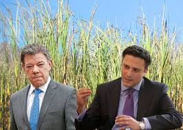 Oscar mario echeverry bernal34 подписчика. Juan Carlos Mira La Formula De Los Ingenios Para Endulzar A Santos Las2orillas