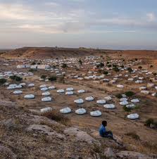 Image result for Red Marina 1993 UMM