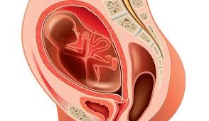 Scurgerile maronii aparute in timpul sarcinii 5. Secretiile Vaginale Cauzele Secretiilor Anormale Copilul Ro