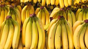 Baca selengkapnya lempeng pisang disebut juga / √ 10 jenis tektonik lempeng dan contohnya lengkap | ilmu. Lempeng Pisang Disebut Juga 6 Buah Yang Disebut Di Dalam Al Qur An Dan Manfaatnya Arya Pamungkas