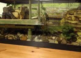 Ever wanted to create a beautiful dock after all is done, you can install lighting to provide warmth for your aquatic animals. The Most Amazing Turtle Basking Platform Ideas Turtleholic