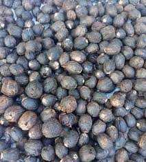 Image result for Vitex payos