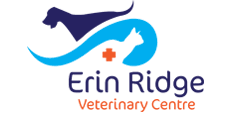 We are open after work and on weekends (and holidays!) to provide like an urgent care center for humans, we provide prompt veterinary care for dogs and cats. Vet Services Pet Wellness Erin Ridge Veterinary Centre
