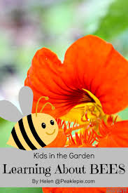 Check spelling or type a new query. Garden Science Learning About Bees In The Garden The Educators Spin On It