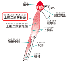 百年整体三鷹院
