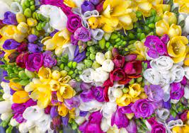 Check spelling or type a new query. Here S Which Flower Represents Each Year Of Your Marriage