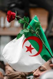 Epingle Par Postbadflipa Sur Algerie Drapeau Algerie Alger Fond D Ecran Telephone
